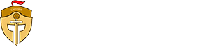 深圳网站建设logo